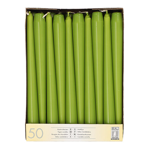 Pack 50 Taper candles Ø 2.2 cm · 25 cm (10 inch)